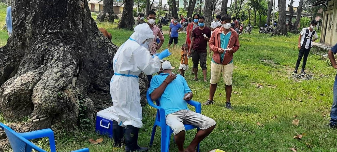 धनगढीमा समुदायबाट चार दिनमा ३ सय ६ जनाको स्वाव संकलन