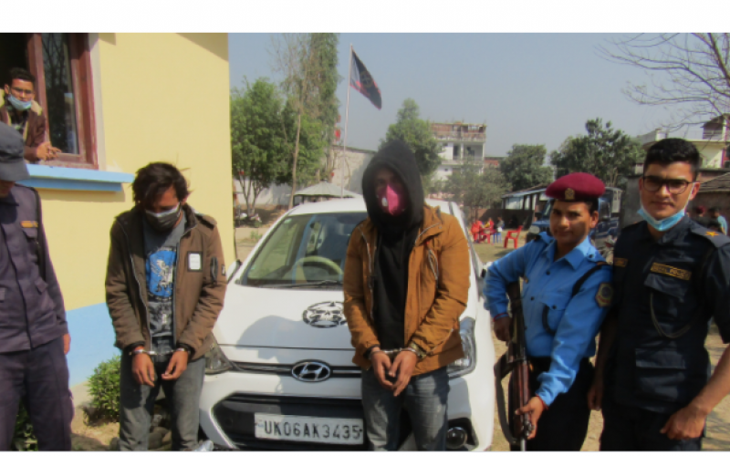 कञ्चनपुरमा लागुऔषधको जालो भत्काउँदै प्रहरी