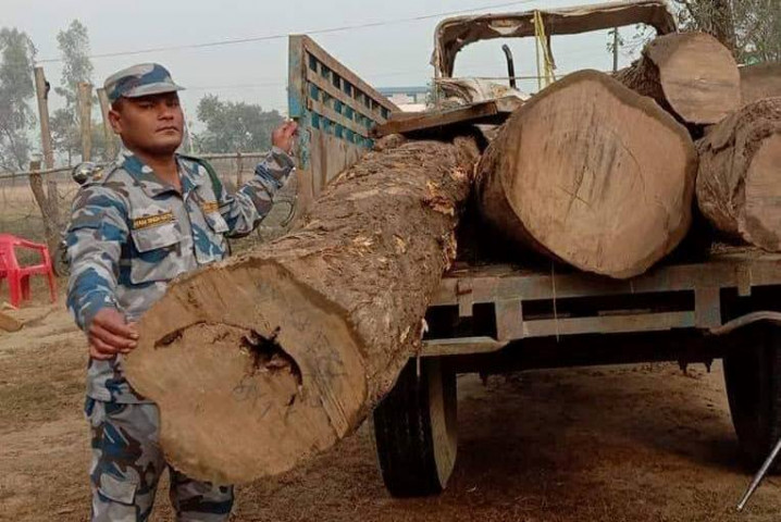 लकडाउनमा पनि  काठ तस्करी बढ्दै