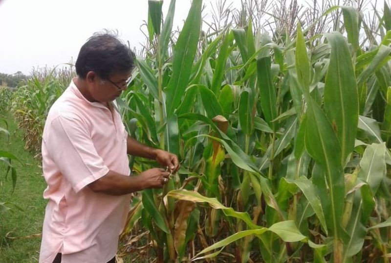 बैतडीमा अमेरिकन फौजी किराको प्रकोप