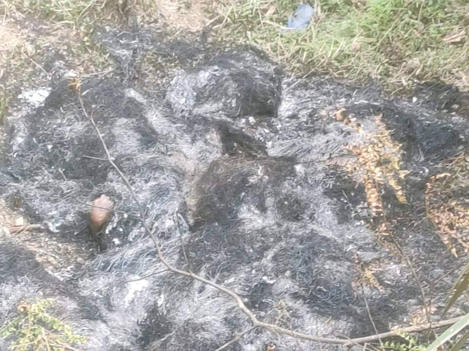 आगो लगाएर दार्चुलामा एकल महिलाको हत्या, २ जना पक्राउ