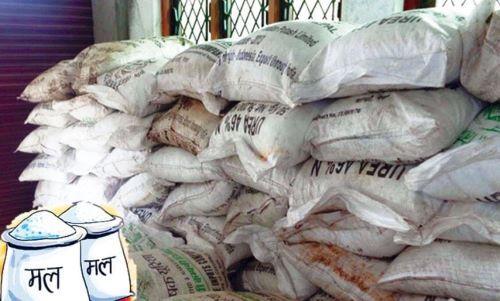 किसानहरु रासायनिक मल नपाए धान खेतीमा असर पर्ने