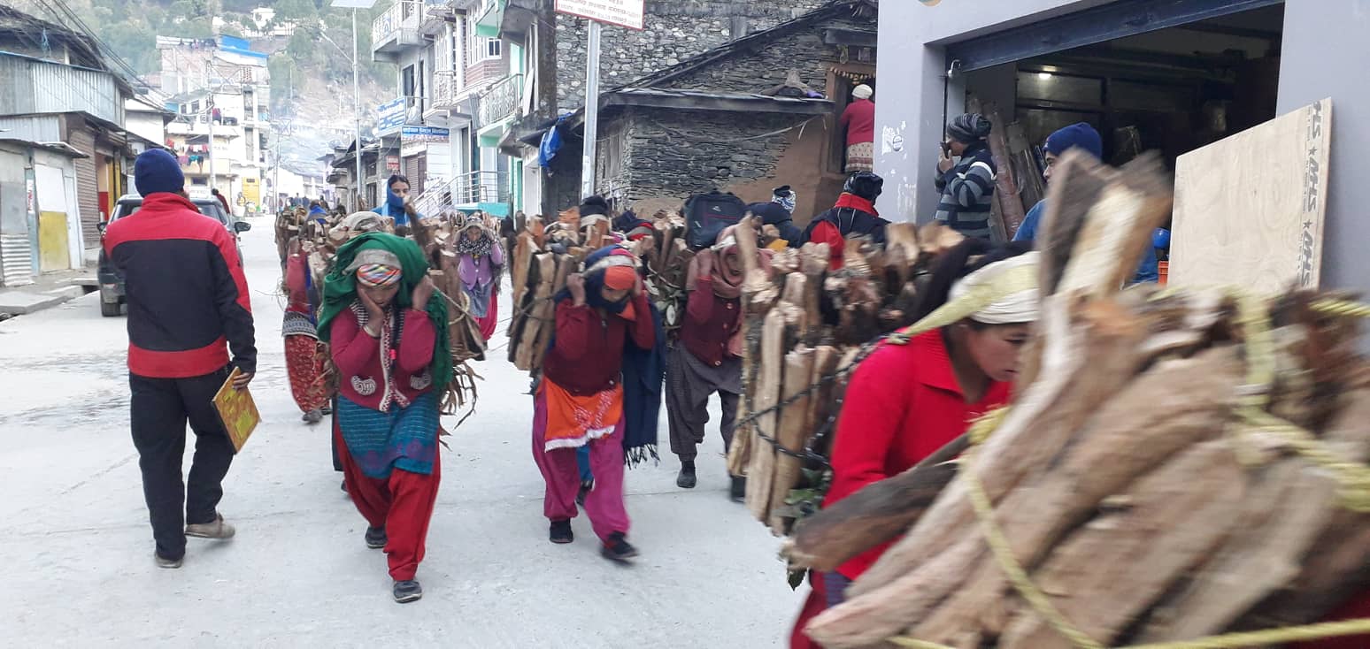 चिसो बढे संगै दाउराको व्यापार बढदो