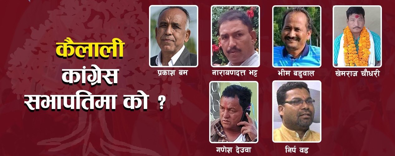 कैलाली जिल्लामा पार्टी सभापति पदका लागी ६ जनाको दाबी