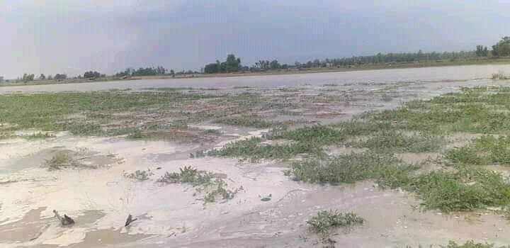 वगरमा लगाएको खेती वैशाखको बाढीले नष्ट