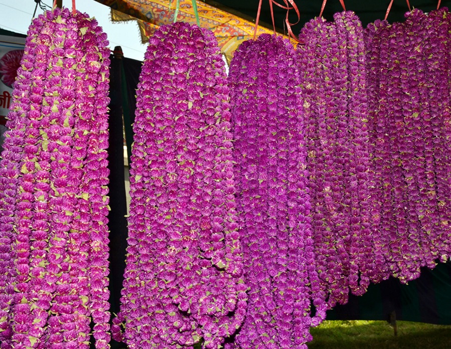 यमपञ्चक शुरु, शुक्रबार यम दीपदान