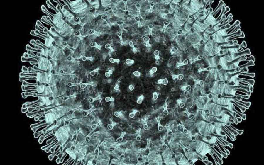 कोरोना भाइरस उत्परिवर्तन हुने खतरा, अमेरिकासम्म पुग्यो, ९ को मृत्यु