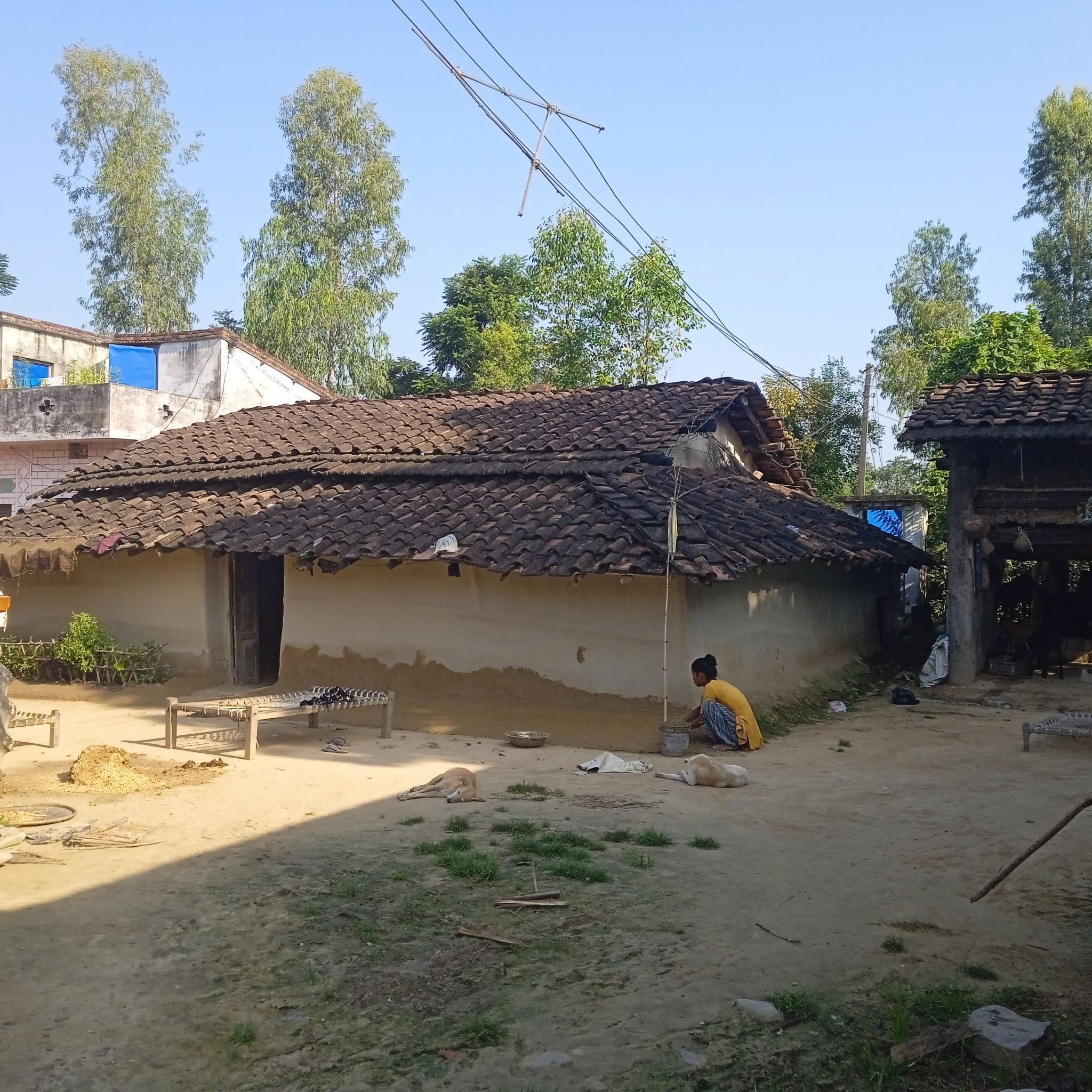 रानाथारु समुदायलाई छुँदैन दसैँले