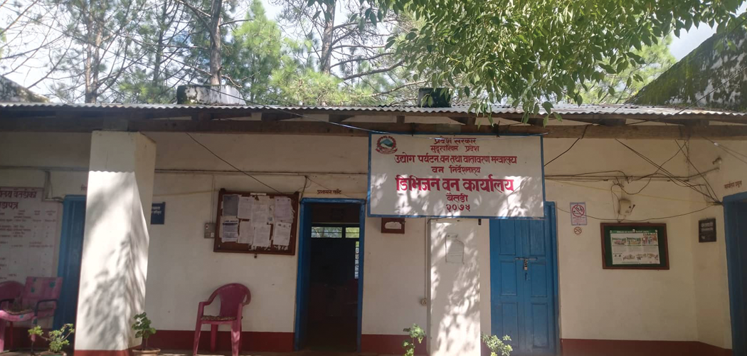 बैतडीबाट साढे तीन लाख किलो जडीबुटी निकासी