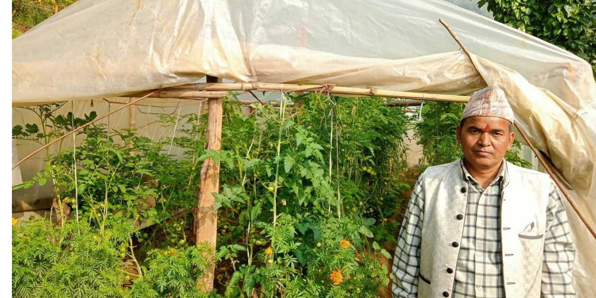 बझाङमा दुई वडावासीलाई तरकारी खुवाउँदै प्रकाश