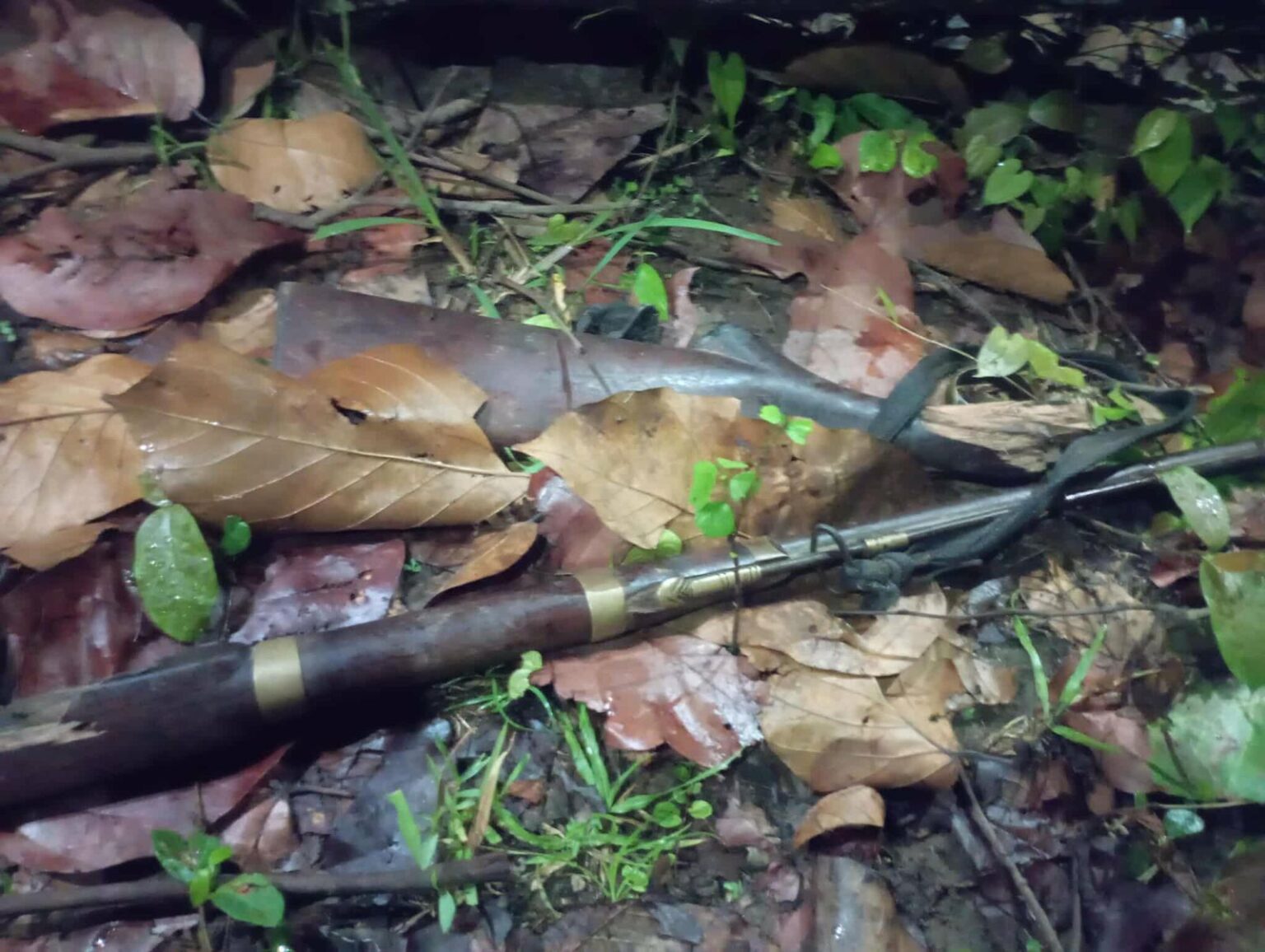 सामुदायिक वनमा भरुवा बन्दुक फेला