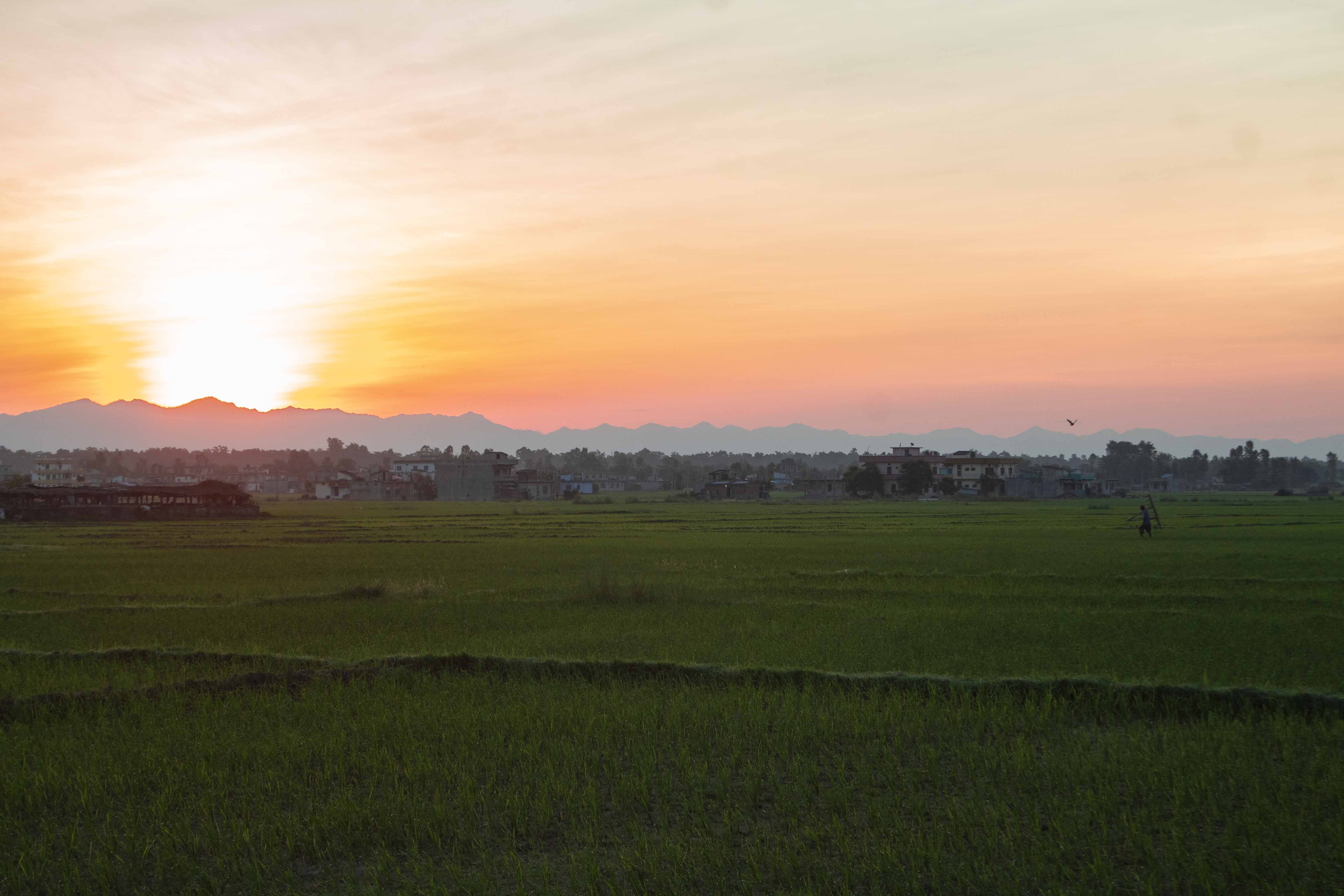 डुवान क्षेत्रका किसान कृषिमा लगानी गर्न डराउन थाले