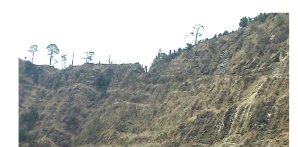 भिरबाट हाम फाल्दा श्रीमतीको मृत्यु, श्रीमान् घाइते