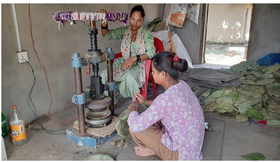 दुनाटपरी बनाएर आत्मनिर्भर बन्दै  धनगढीका महिला