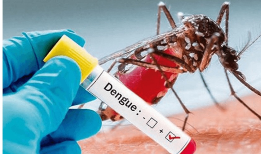 बैतडीमा डेंगु  सात जनामा सङ्क्रमण पुष्टि