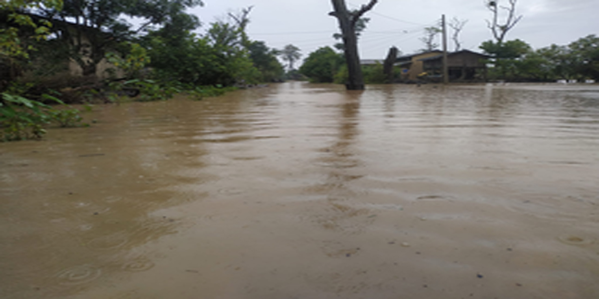 कैलालीको भजनी नगरपालिकामा दुई सय बढी घर डुबानमा