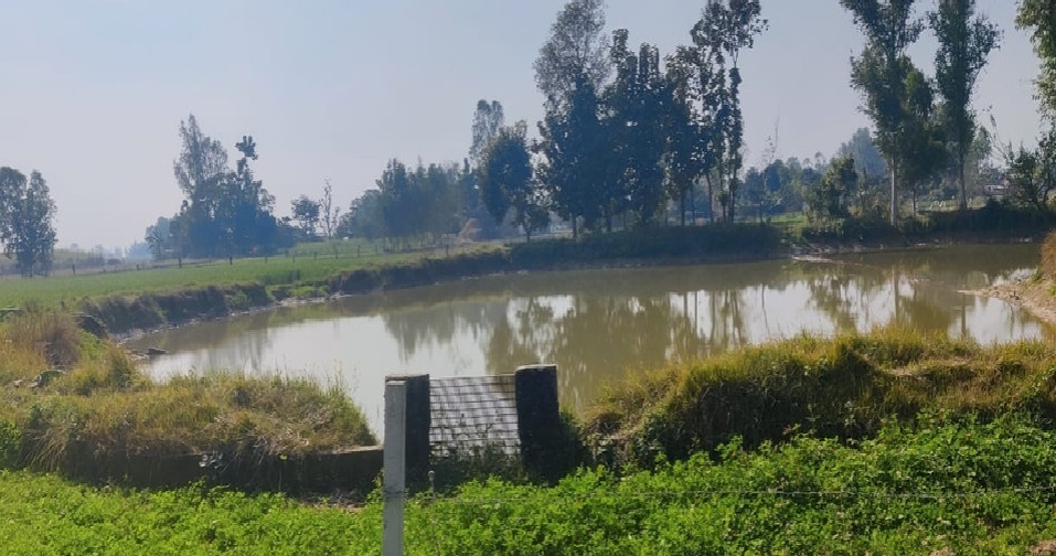 डेढ करोड खर्चेर रिचार्ज पोखरी बनाउँदै धनगढी उपमहानगर