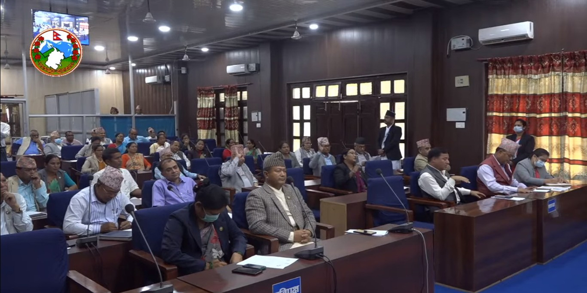 पारिश्रमिक र सेवा सुविधा सम्बन्धी संशोधन गर्न बनेको विधेयक बहुमतले पारित