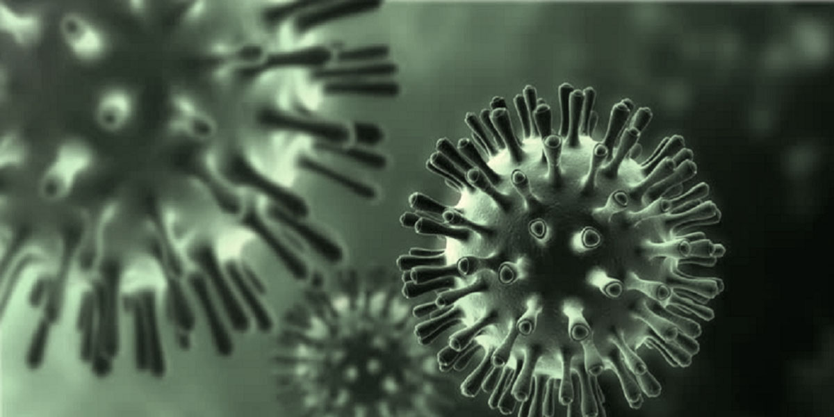 थप ८ जनामा कोरोना संक्रमण पुष्टि