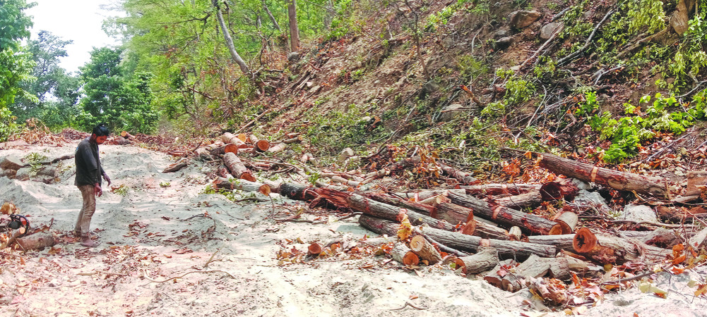 महाकाली करिडोरमा जहिल्यै बजेट अभाव, अहिले कर्मचारी नभएर प्रभावित