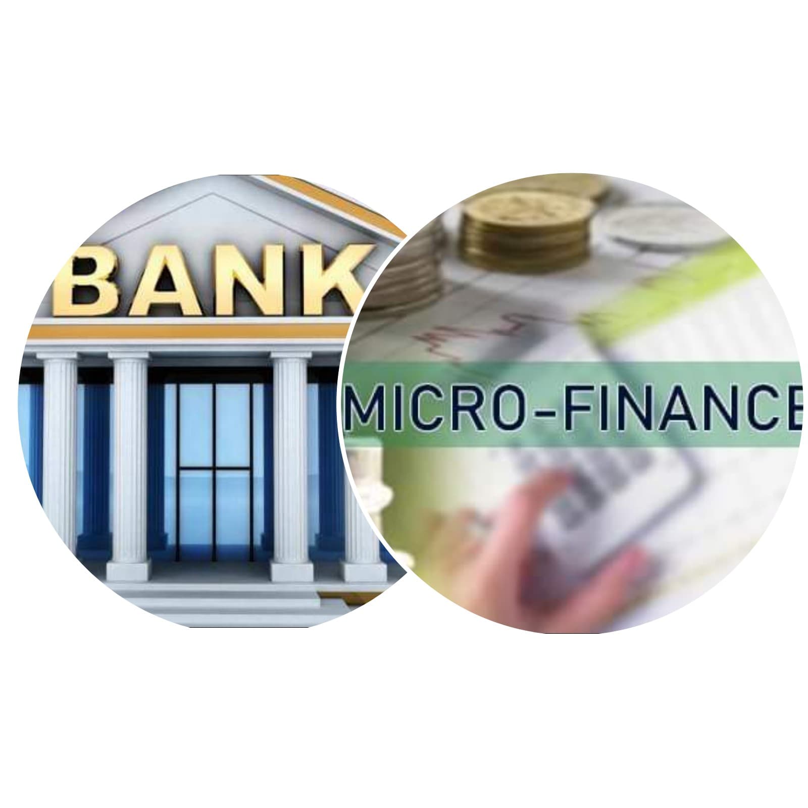 १५ प्रतिशतभन्दा कम ब्याजदरमा विनाधितो ५ लाख रुपैयाँसम्म कर्जा दिन लघुवित्तलाई राष्ट्र बैंकको निर्देशन