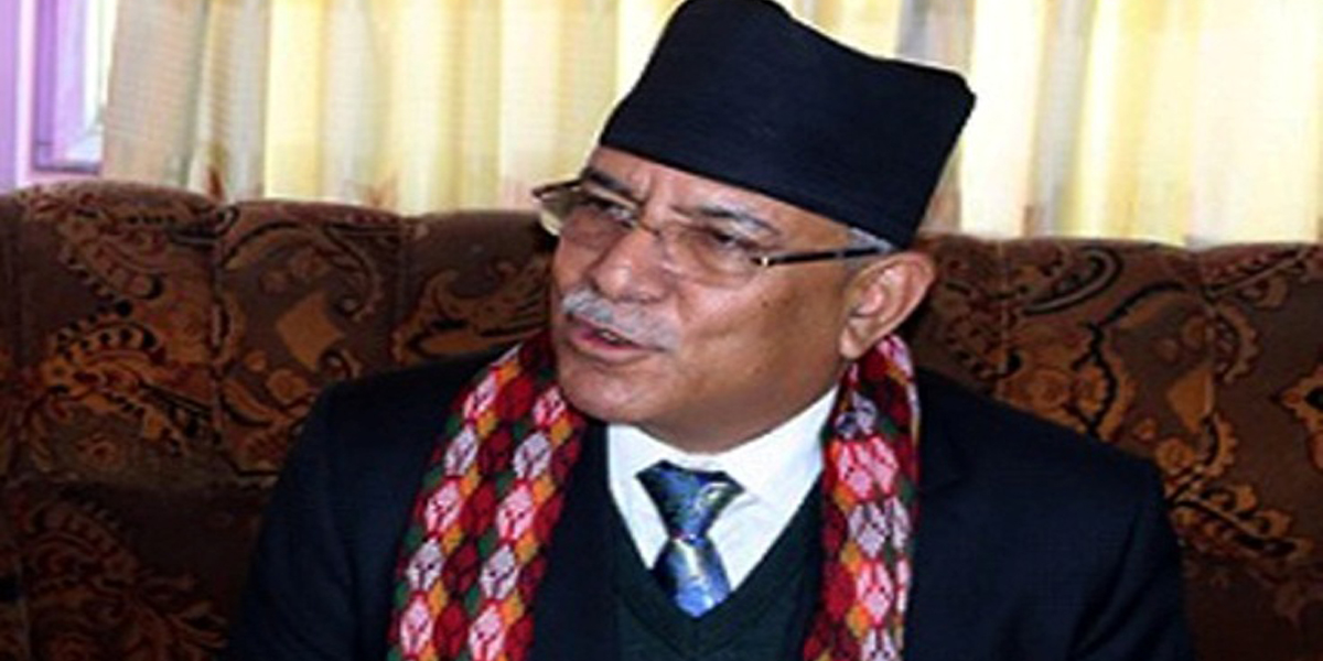 प्रचण्ड चौथो पटक सांसद निर्वाचित