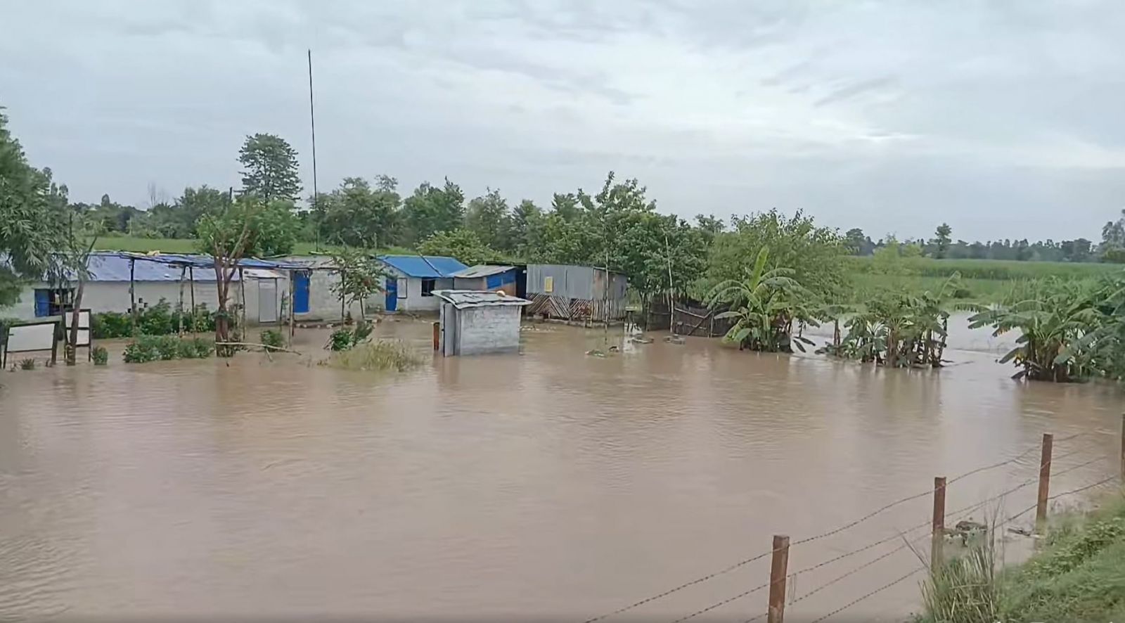 कञ्चनपुरमा बाढी झन्डै ४ दर्जन परिवार विस्थापित