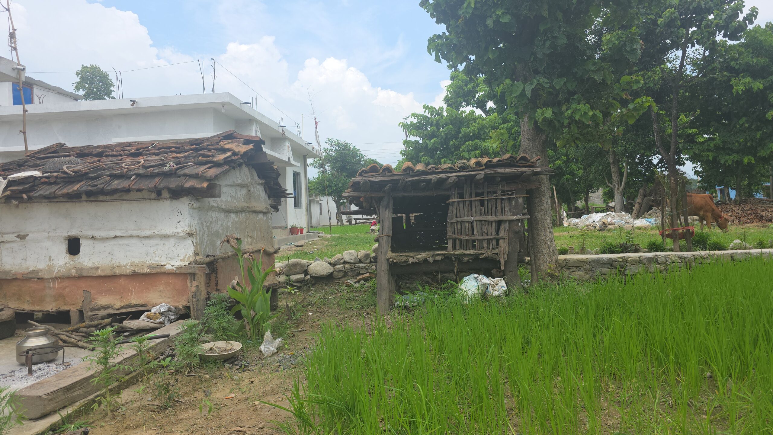 अन्धविश्वासका कारण छाउगोठमा महिलाहरु बस्न बाध्य  कहिले सम्म गुमाउँने ज्यान ?